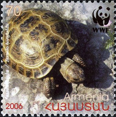tortoise stamp